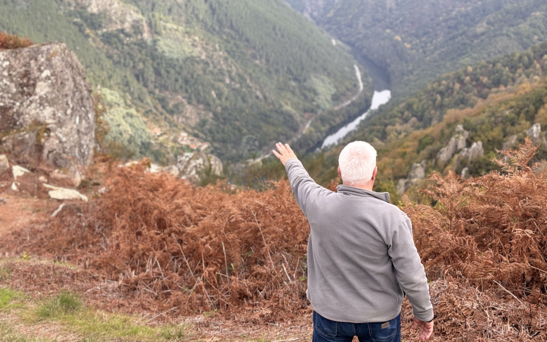 La importancia de los castaños en Moura