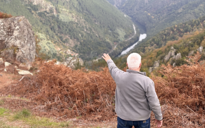 La importancia de los castaños en Moura