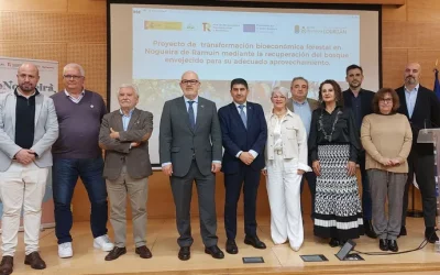 Nogueira de Ramuín transformará su bosque abandonado en una plantación de castaño resistente a enfermedades – por «La voz de Galicia»