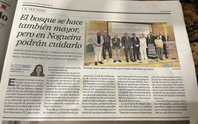 El bosque se hace también mayor, pero en Nogueira de Ramuín podrán cuidarlo – por «La Región»