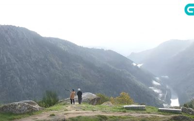 Nogueira de Ramuín promove a recuperación dos soutos abandonados para atraer poboación ao rural – por «g24»