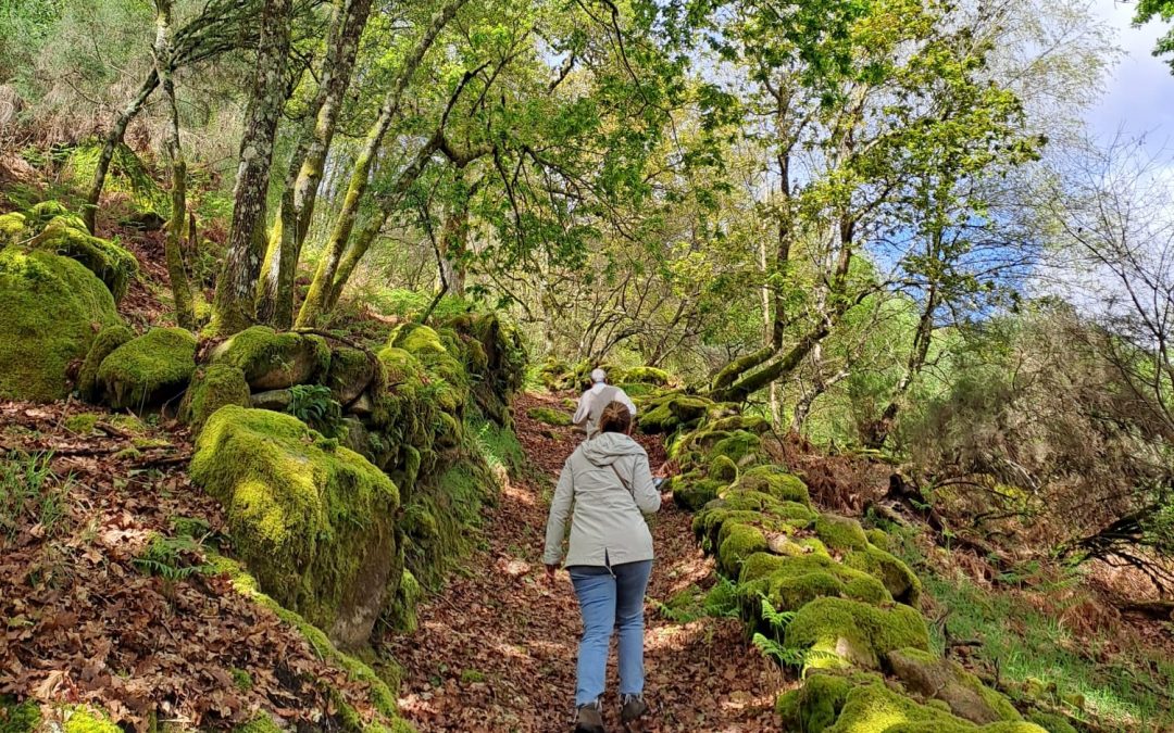 Inspección previa del terreno