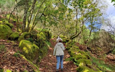 Inspección previa del terreno