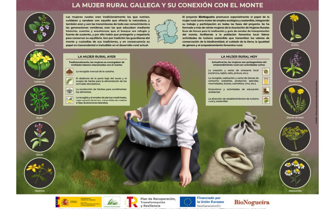 Infografía – La mujer rural gallega: custodias del saber natural y protagonistas del futuro sostenible