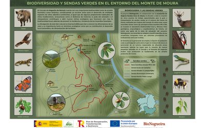 Infografía – Redescubriendo el Monte de Moura: Biodiversidad, Senderismo y Desarrollo Sostenible