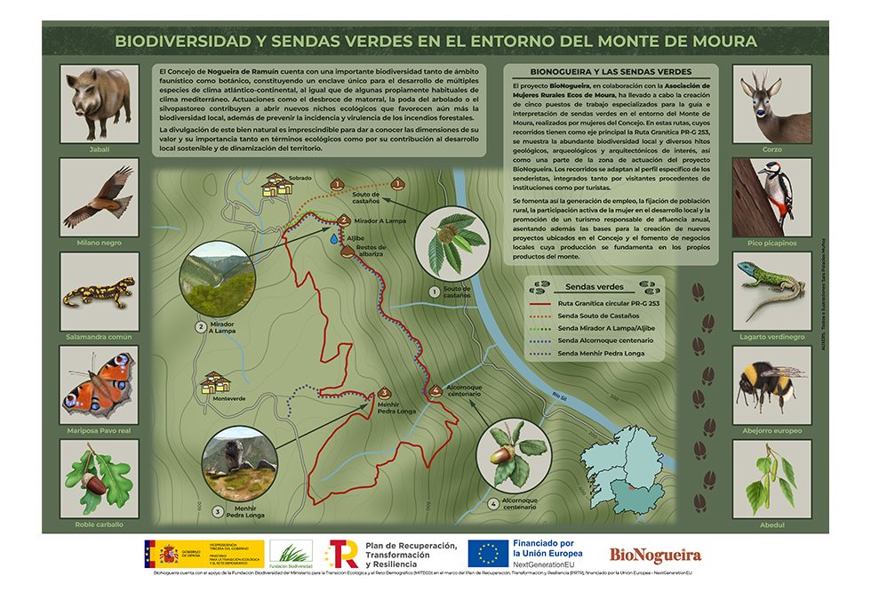 Infografía – Redescubriendo el Monte de Moura: Biodiversidad, Senderismo y Desarrollo Sostenible
