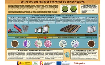 Infografía – Compostaje de Residuos Orgánicos de Origen Vegetal
