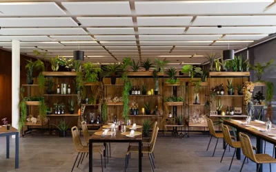 Proyecto BioNogueira en Onda Cero PODCAST