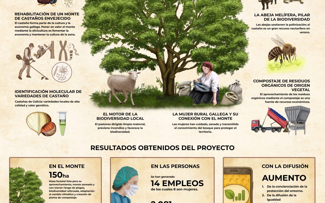 Infografía – Resultados del Proyecto BioNogueira: una transformación real del Monte de Moura
