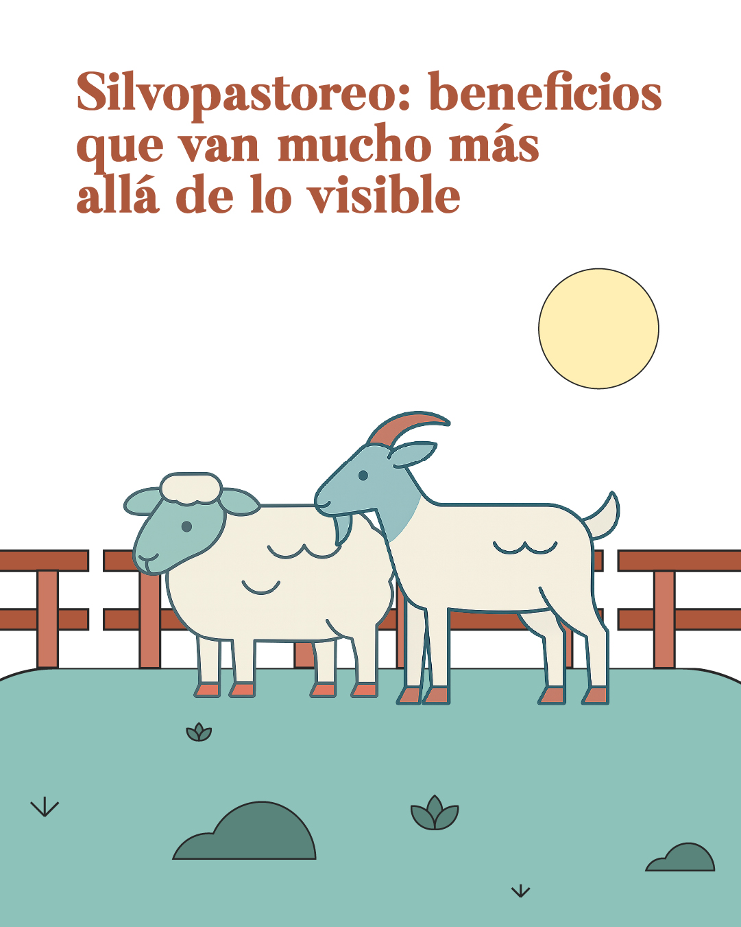 Silvopastoreo: beneficios que van mucho más allá de lo visible