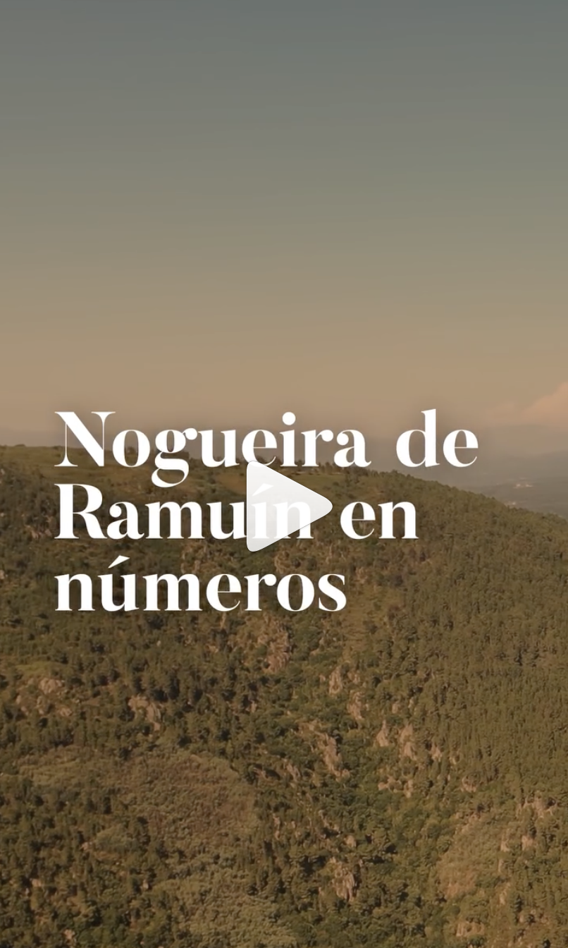 Nogueira de Ramuín en números