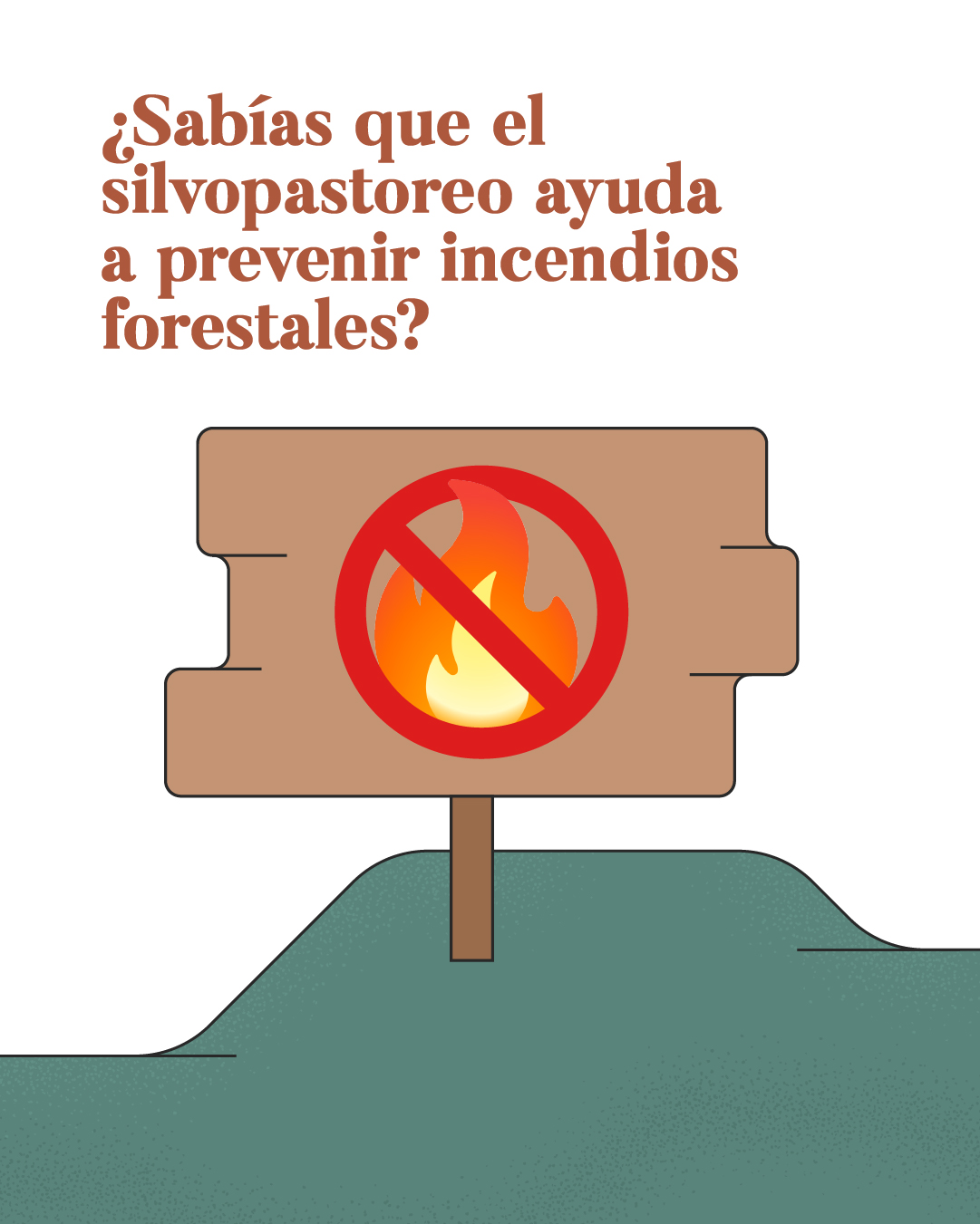 ¿Sabias que el silvopastoreo ayuda a prevenir incendios forestales?