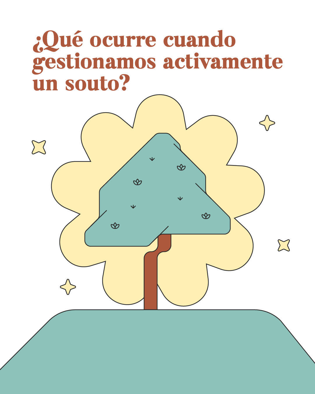 ¿Qué ocurre cuando gestionamos activamente un souto?