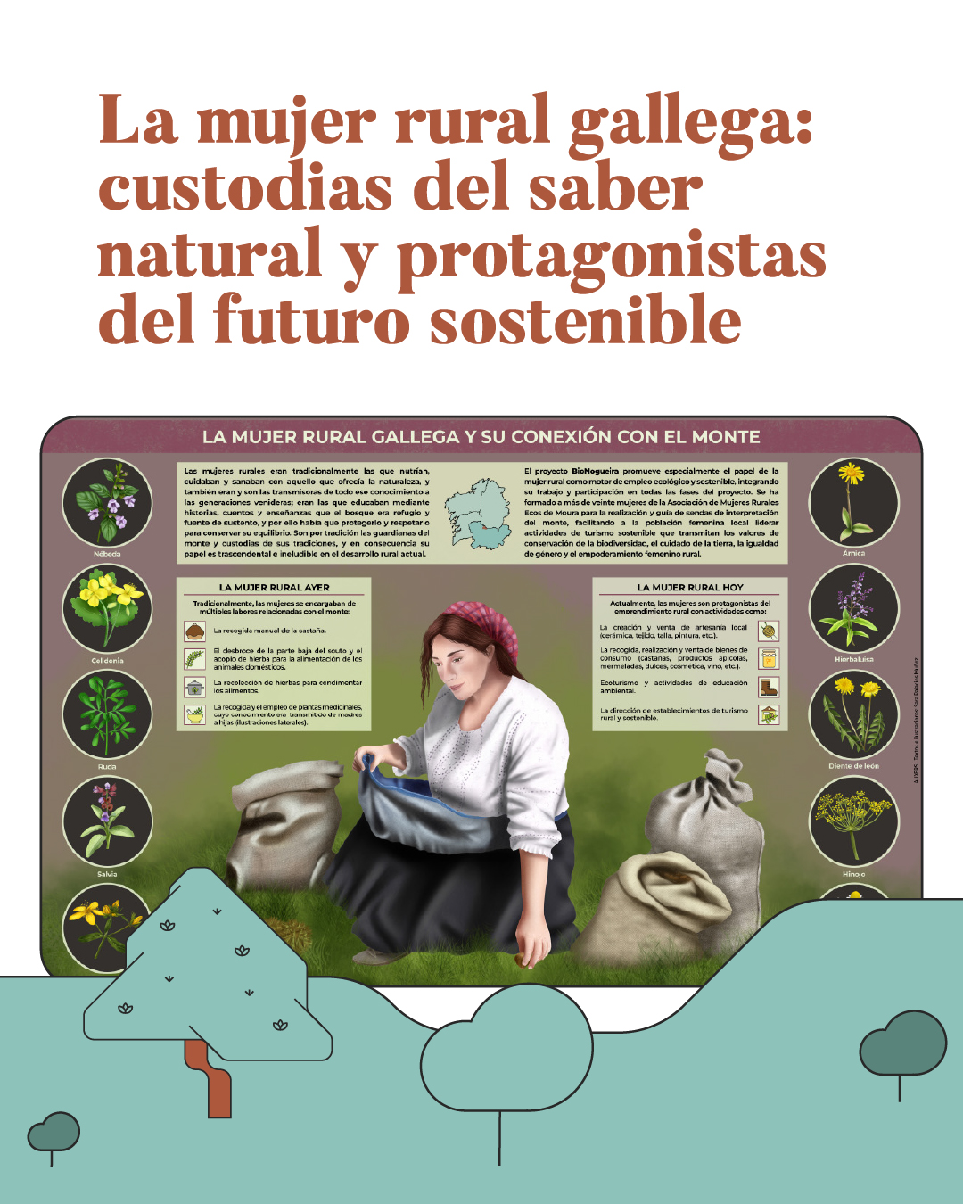 Infografía La mujer rural gallega