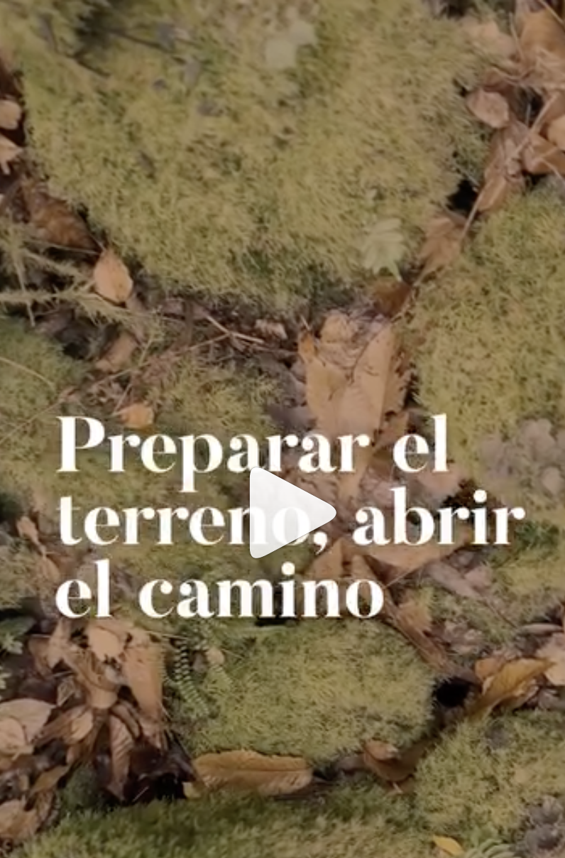 Preparar el terreno, abrir camino