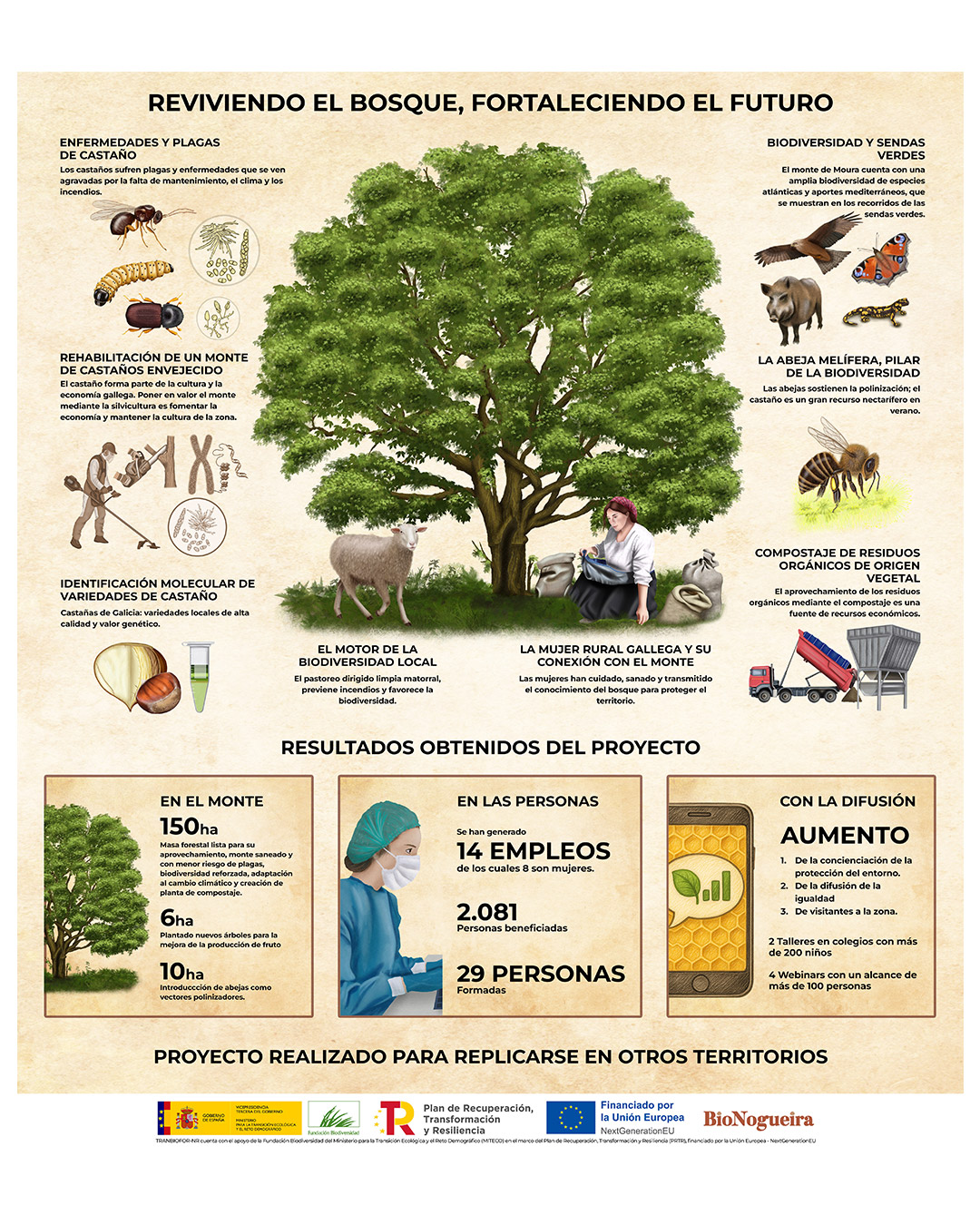Infografía datos finales BioNogueira