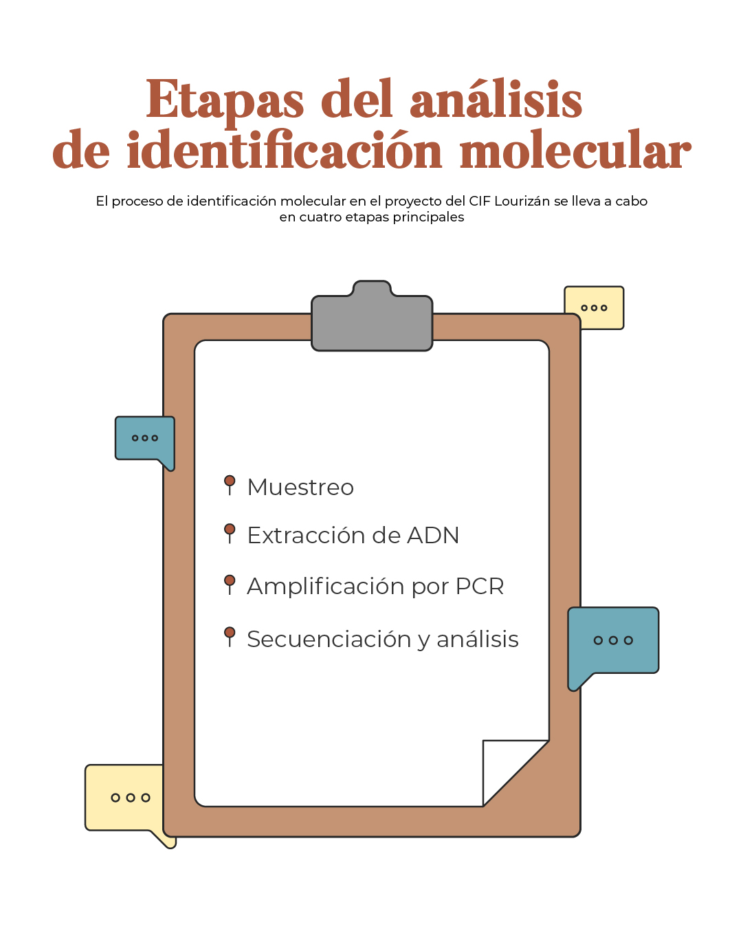 Etapas del análisis de identificación molecular